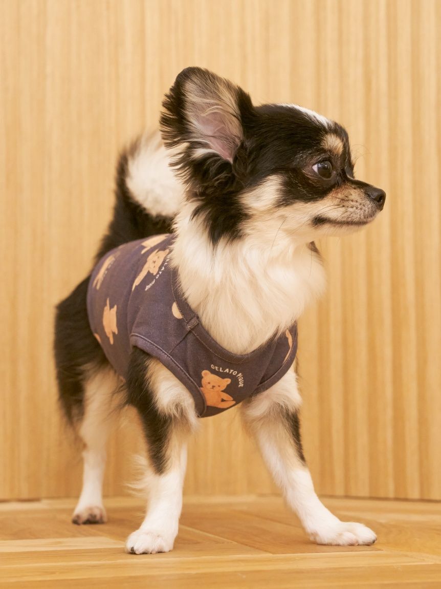  GELATO PIQUE CAT&DOG「【CAT&DOG】ベア柄プルオーバー」|その他|