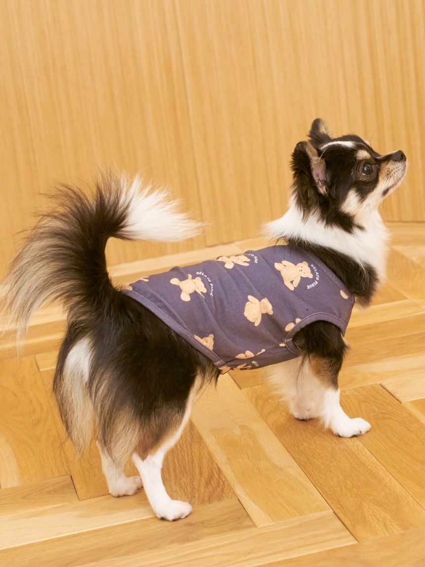  GELATO PIQUE CAT&DOG「【CAT&DOG】ベア柄プルオーバー」|その他|