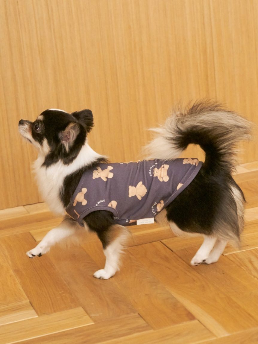  GELATO PIQUE CAT&DOG「【CAT&DOG】ベア柄プルオーバー」|その他|