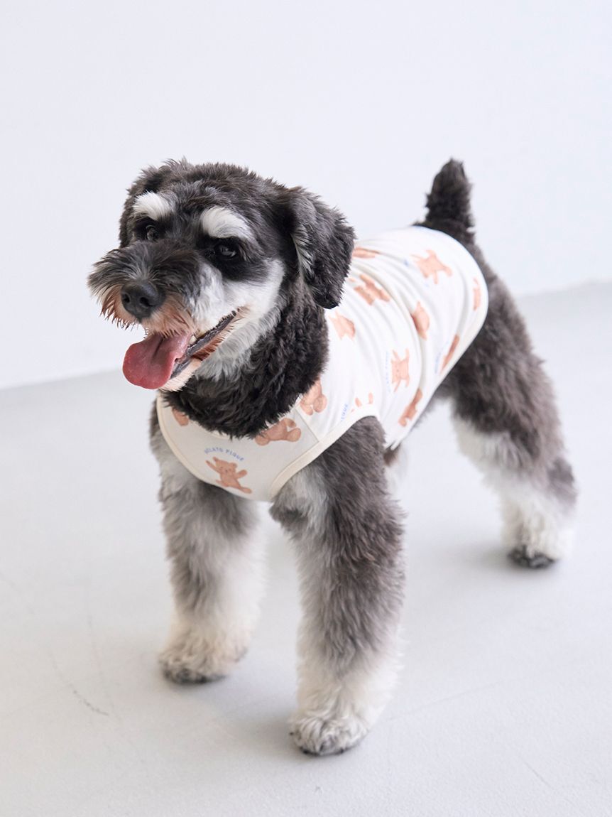  GELATO PIQUE CAT&DOG「【CAT&DOG】ベア柄プルオーバー」|その他|