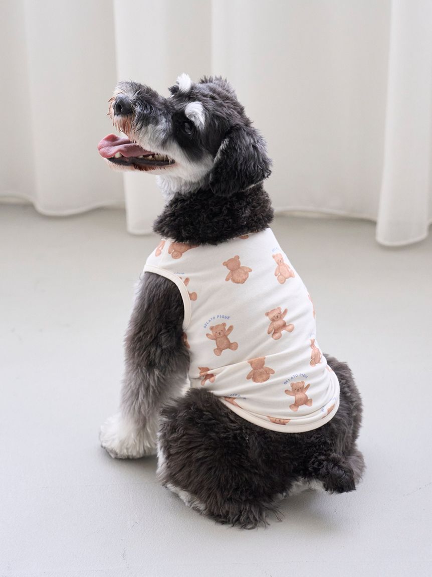  GELATO PIQUE CAT&DOG「【CAT&DOG】ベア柄プルオーバー」|その他|