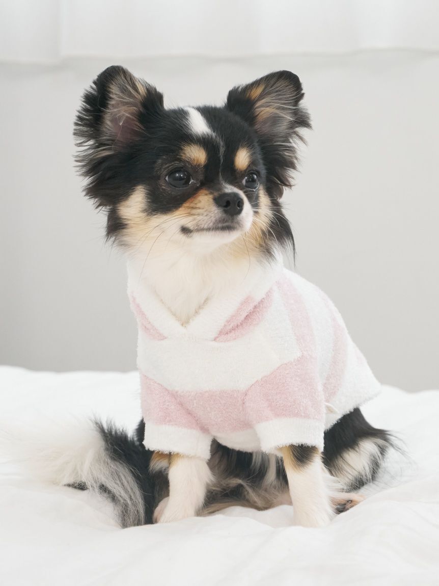  GELATO PIQUE CAT&DOG「【CAT&DOG】スムーズィー２ボーダーフーディー」|その他|