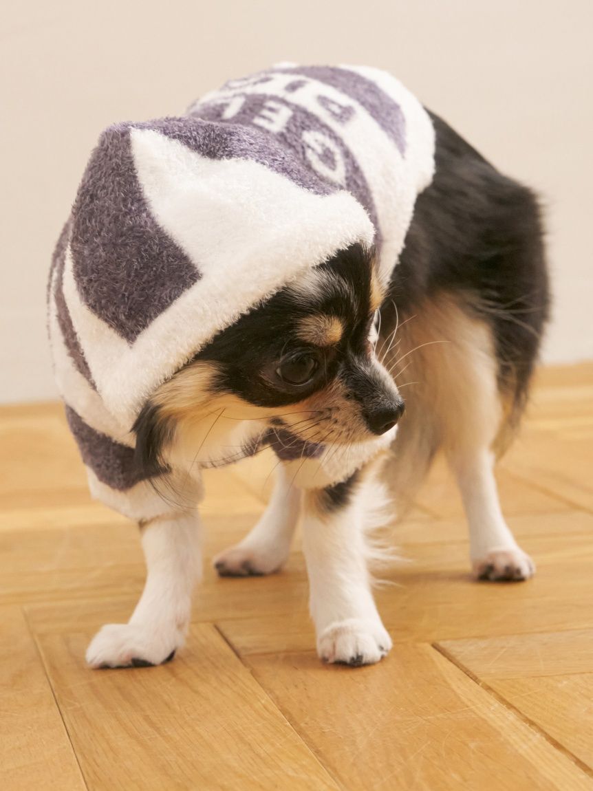  GELATO PIQUE CAT&DOG「【CAT&DOG】スムーズィー２ボーダーフーディー」|その他|