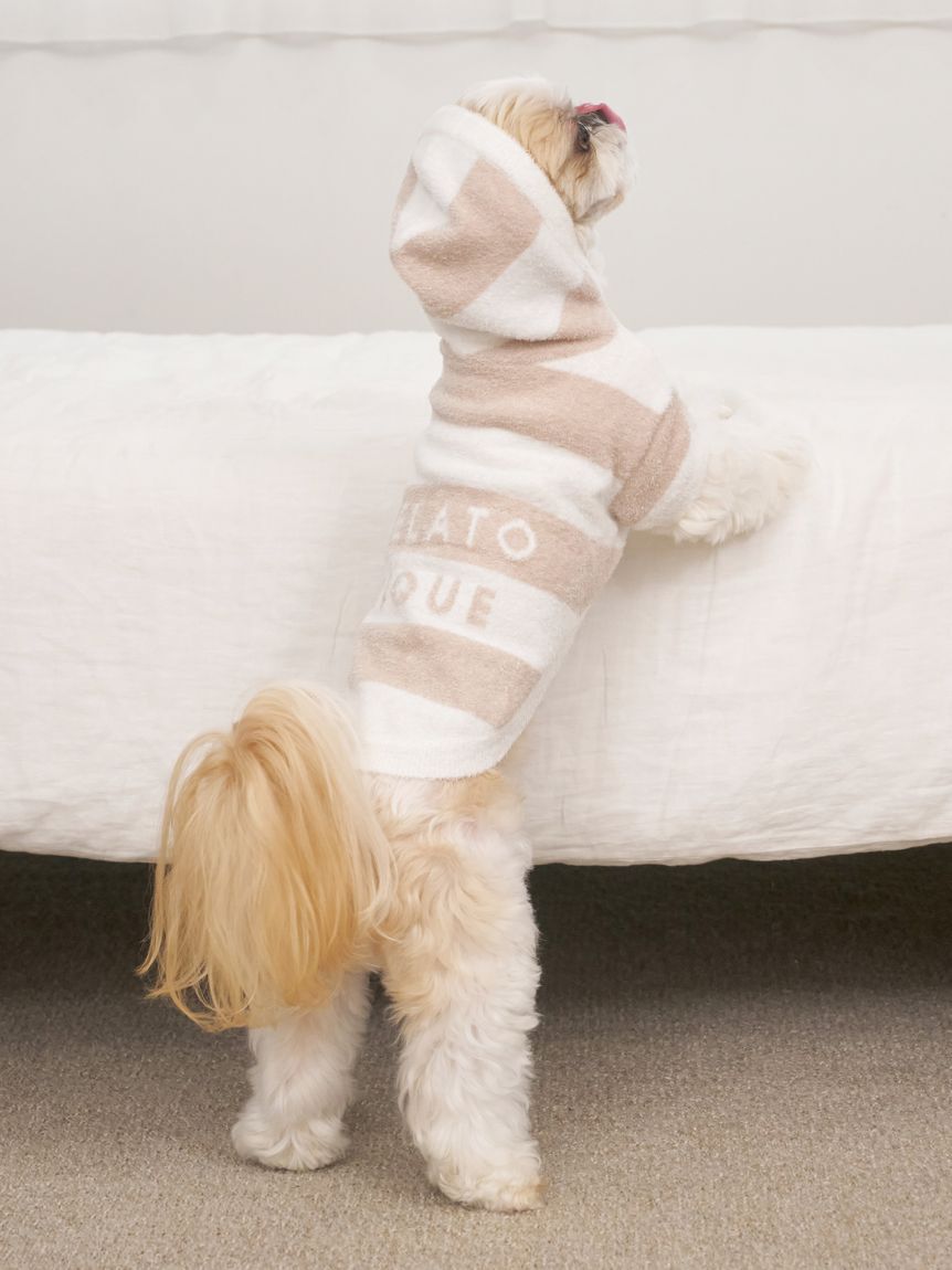  GELATO PIQUE CAT&DOG「【CAT&DOG】スムーズィー２ボーダーフーディー」|その他|