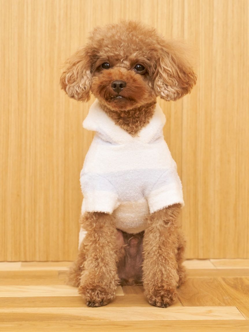  GELATO PIQUE CAT&DOG「【CAT&DOG】スムーズィー２ボーダーフーディー」|その他|