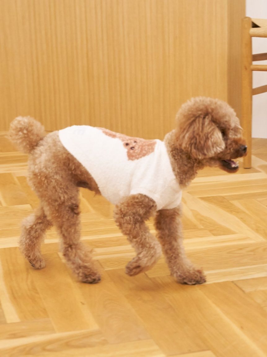  GELATO PIQUE CAT&DOG「【CAT&DOG】スムーズィートイプードル柄ジャガードプルオーバー」|その他|