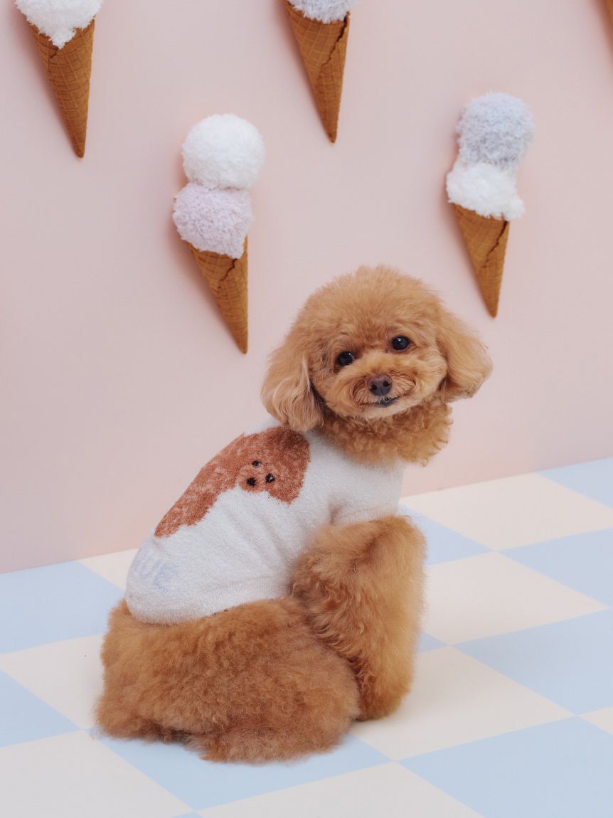  GELATO PIQUE CAT&DOG「【CAT&DOG】スムーズィートイプードル柄ジャガードプルオーバー」|その他|