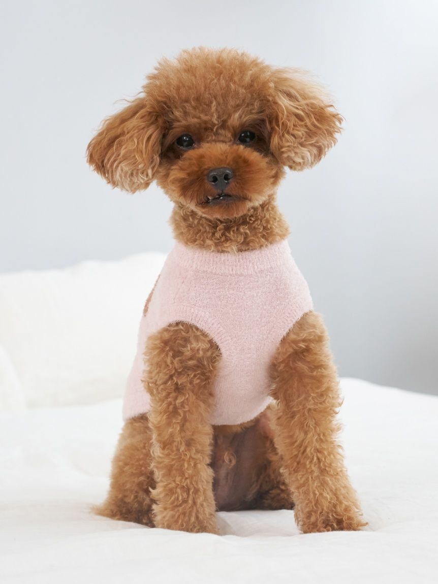  GELATO PIQUE CAT&DOG「【CAT&DOG】スムーズィートイプードル柄ジャガードプルオーバー」|その他|