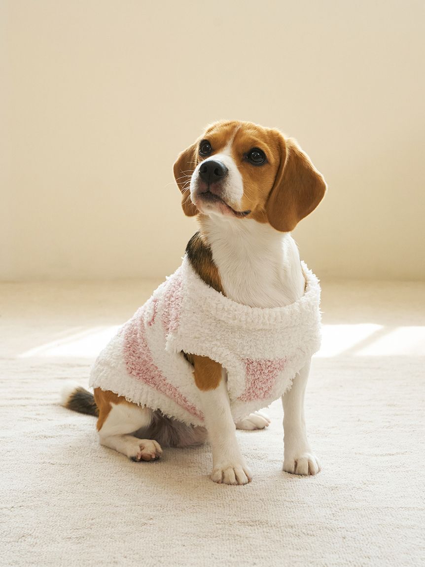  GELATO PIQUE CAT&DOG「【CAT&DOG】ラージサイズジェラートメランジ2ボーダープルオーバー」|その他|