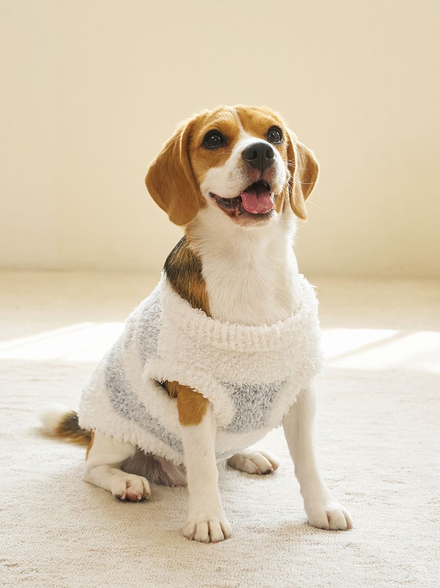  GELATO PIQUE CAT&DOG「【CAT&DOG】ラージサイズジェラートメランジ2ボーダープルオーバー」|その他|