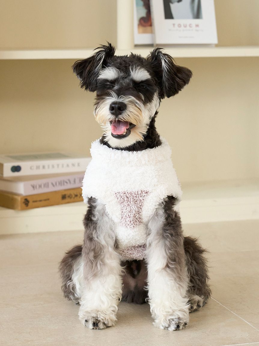  GELATO PIQUE CAT&DOG「【CAT&DOG】ラージサイズジェラートメランジ2ボーダープルオーバー」|その他|