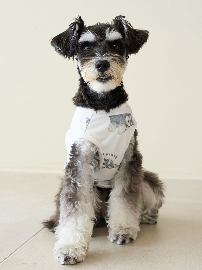  GELATO PIQUE CAT&DOG「【CAT&DOG】シュナウザー柄カットソープルオーバー」|その他|