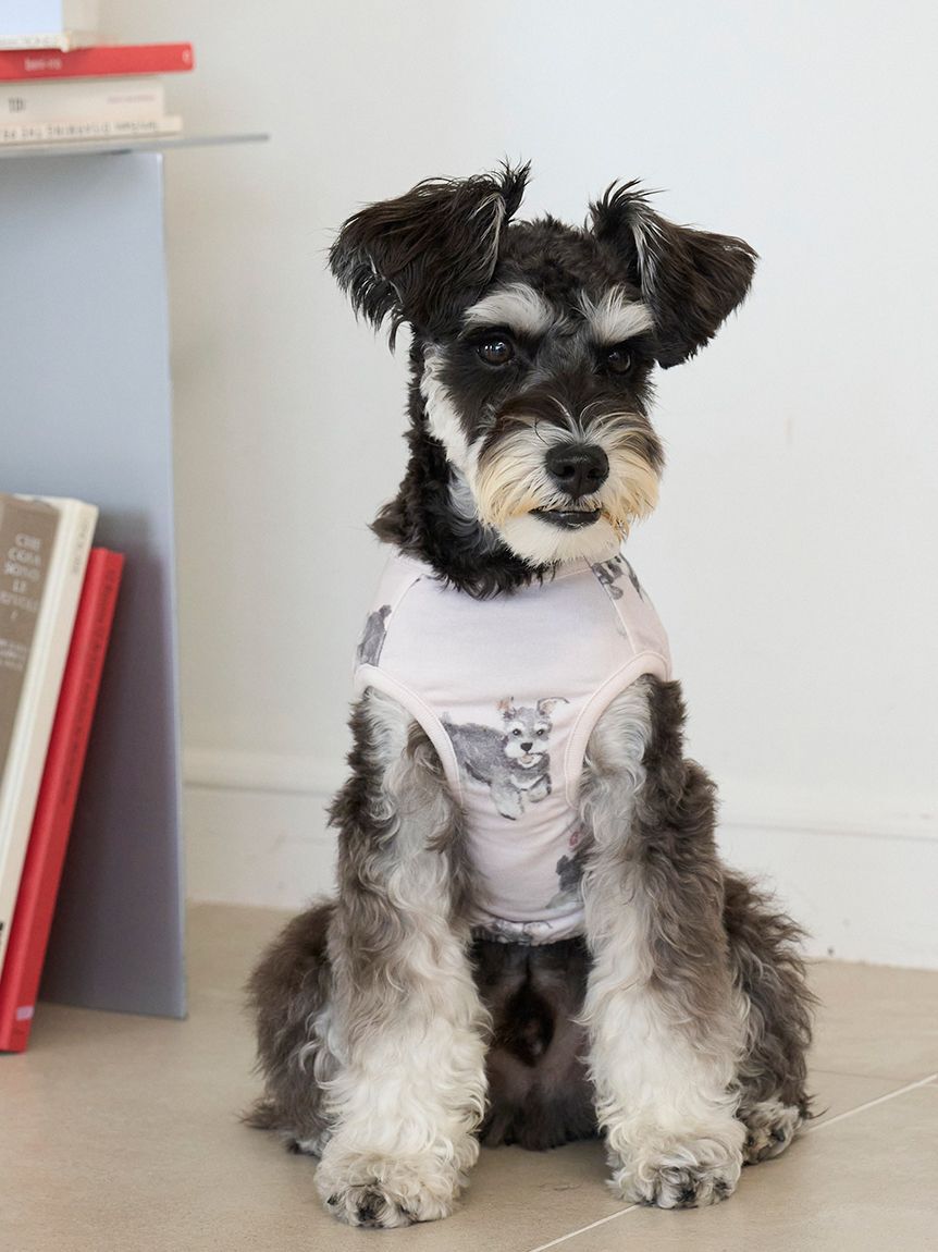  GELATO PIQUE CAT&DOG「【CAT&DOG】シュナウザー柄カットソープルオーバー」|その他|