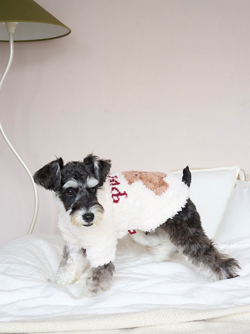  GELATO PIQUE CAT&DOG「【HOLIDAY】【CAT&DOG】ジェラートスノーベアジャガードプルオーバー」|その他|