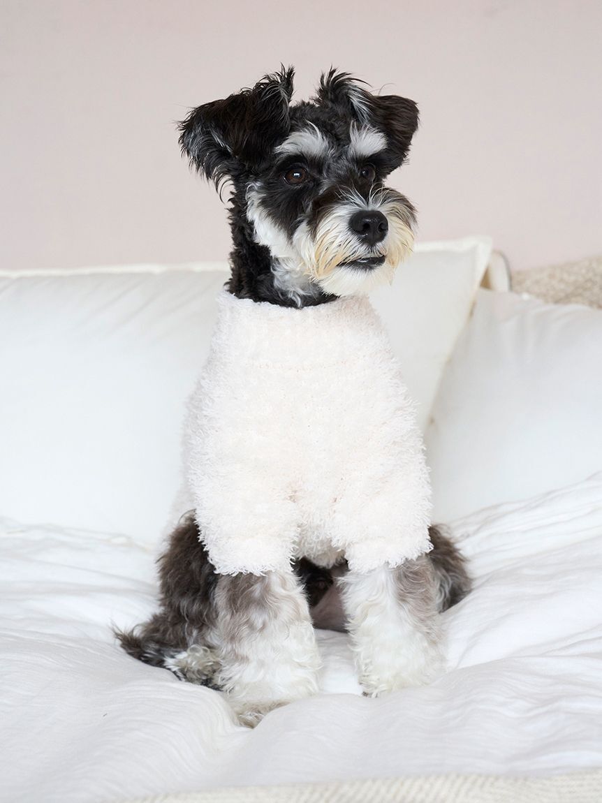  GELATO PIQUE CAT&DOG「【HOLIDAY】【CAT&DOG】ジェラートスノーベアジャガードプルオーバー」|その他|