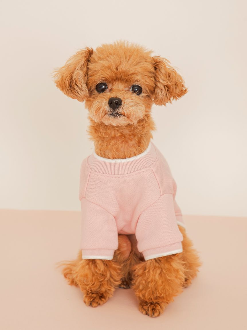  GELATO PIQUE CAT&DOG「【CAT&DOG】ロゴプリント裏毛プルオーバー」|その他|