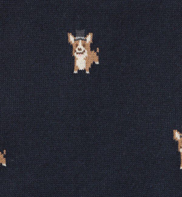 MACKINTOSH PHILOSOPHY「コーギー カジュアルソックス」|ソックス|