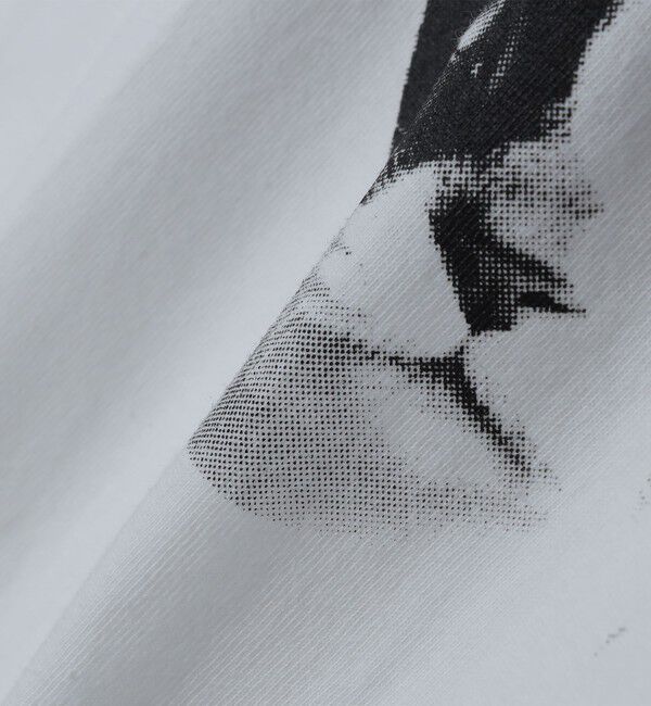 SHIPS「【WEB限定/SHIPS別注】Regency Works: キャット ポケット Tシャツ」|Tシャツ・カットソー|