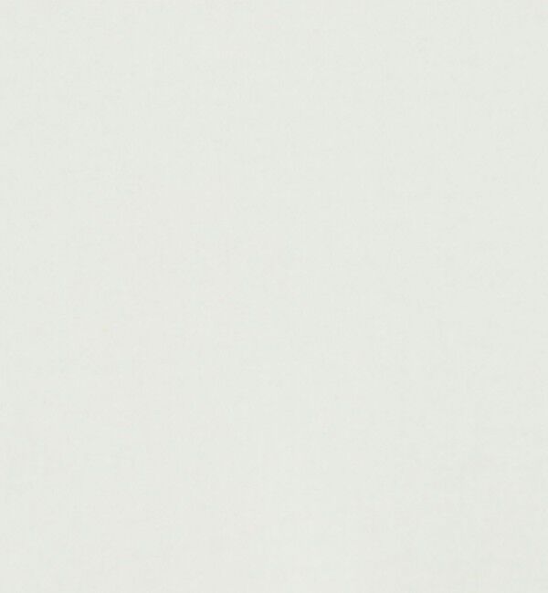 BACCA「ソフトコットン クルーネックカットソー」|Tシャツ・カットソー|