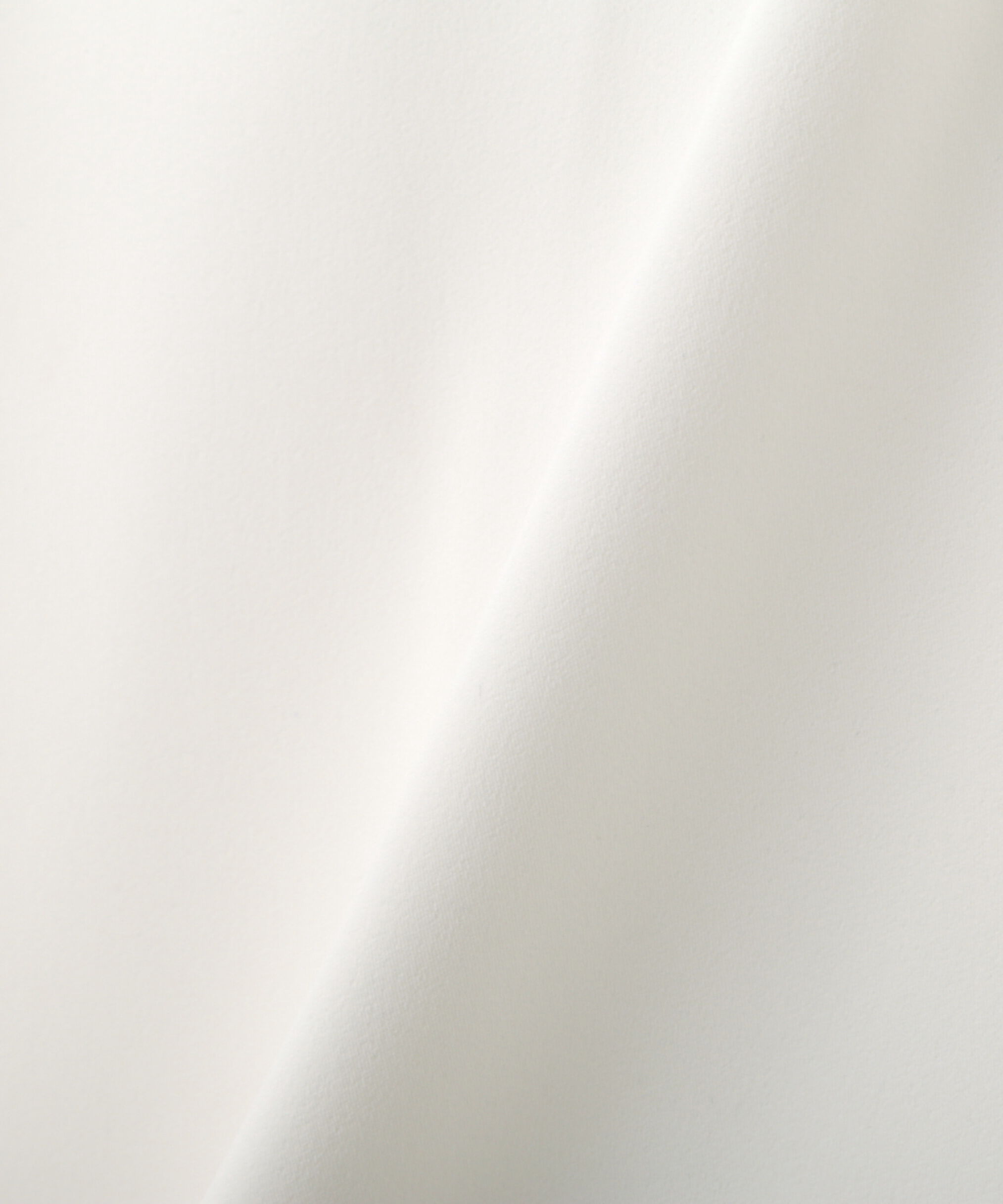  「ビッグボウタイブラウス」|シャツ・ブラウス|