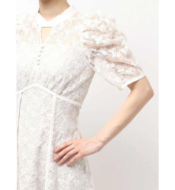 dazzlin「ネックツイスト刺繍レースドレス」|ドレス|