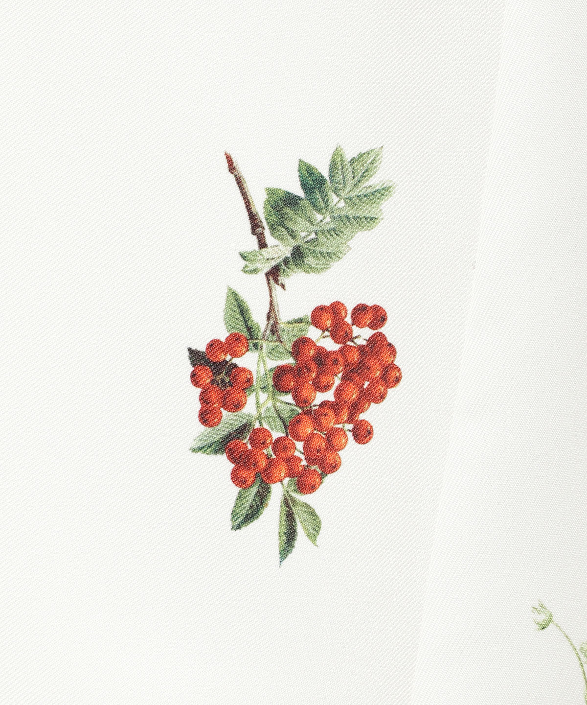 WILLSELECTION「ウィンターボタニカルスカート」|フレア|