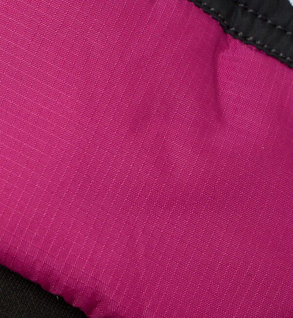 BEAUTY&YOUTH UNITED ARROWS「＜THE NORTH FACE＞ヌプシ イーチップ グローブ」|手袋|