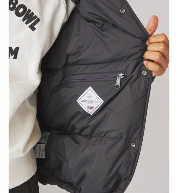 JOURNAL STANDARD relume「THE NORTH FACE /ノースフェイス オルタレーション シエラジャケット ND92565」|ダウン|