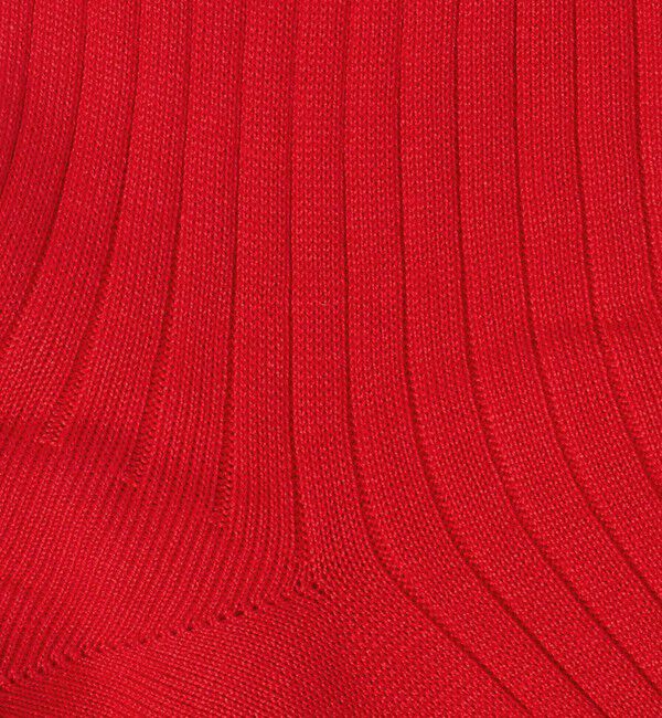 UNITED ARROWS「カラー リブソックス」|ソックス|