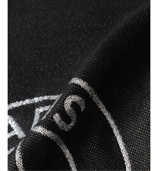 Paris Saint-Germain「【Paris Saint-Germain / パリ・サン＝ジェルマン】  WEEPLAY SCARF BIG LOGO」|マフラー|