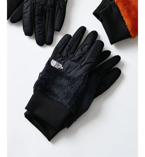 JOURNAL STANDARD relume「THE NORTH FACE / ザノースフェイス デナリイーチップグローブ NN62522」|手袋|ブラック