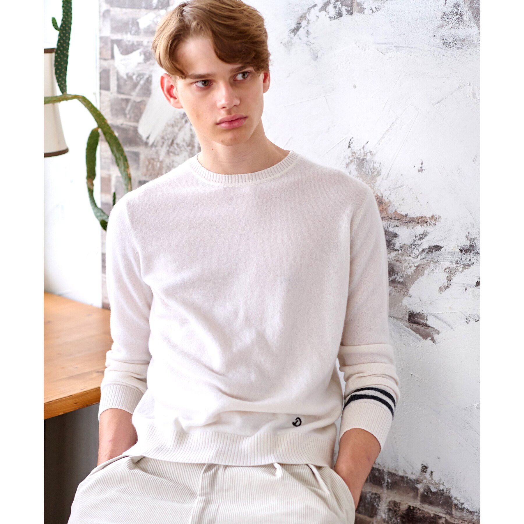 DRESSTERIOR「【カシミヤ100%】ピュアカシミヤクルーネックニット」|ニット・セーター|ホワイト(001)