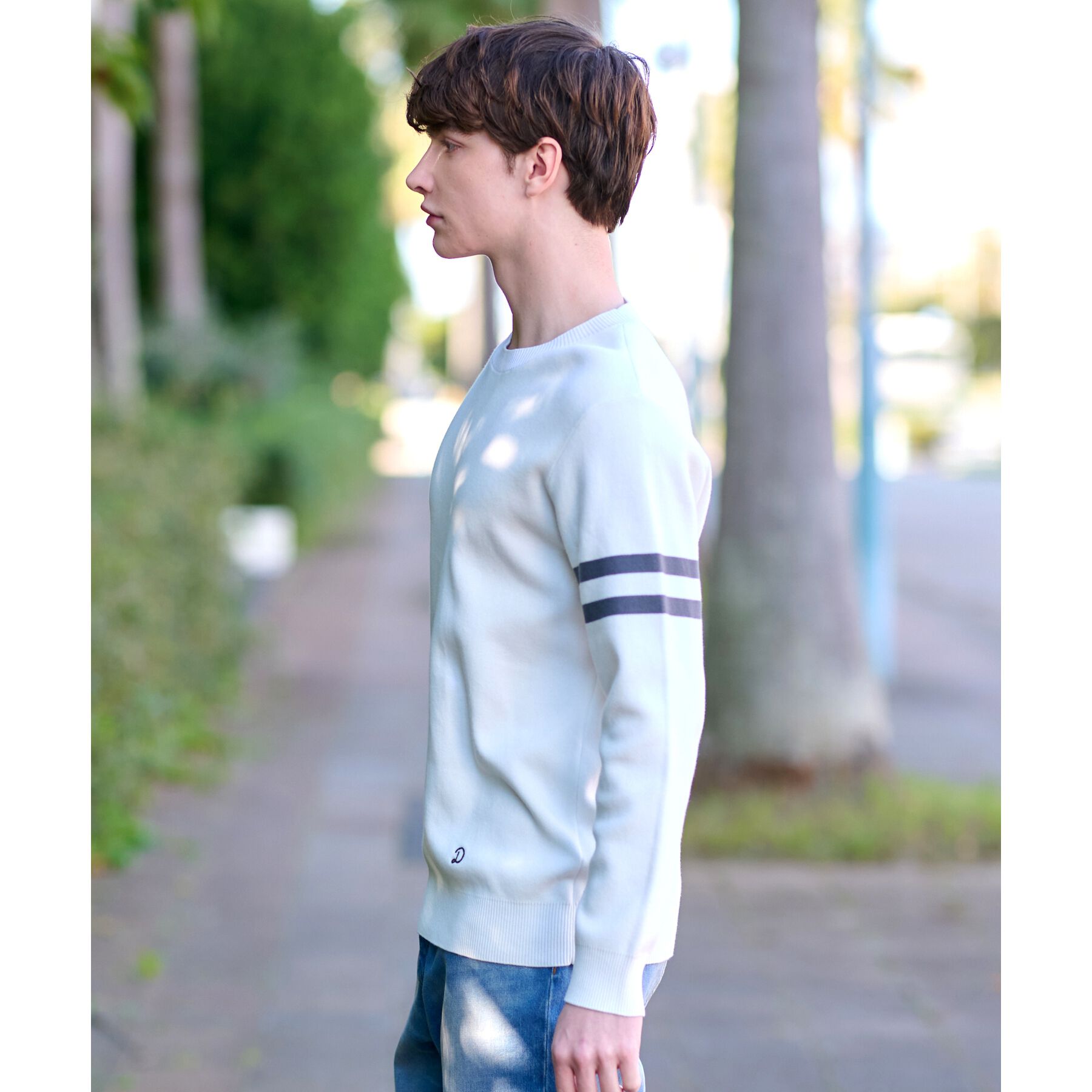 DRESSTERIOR「コットンスムース アームラインクルーネックニット」|ニット・セーター|