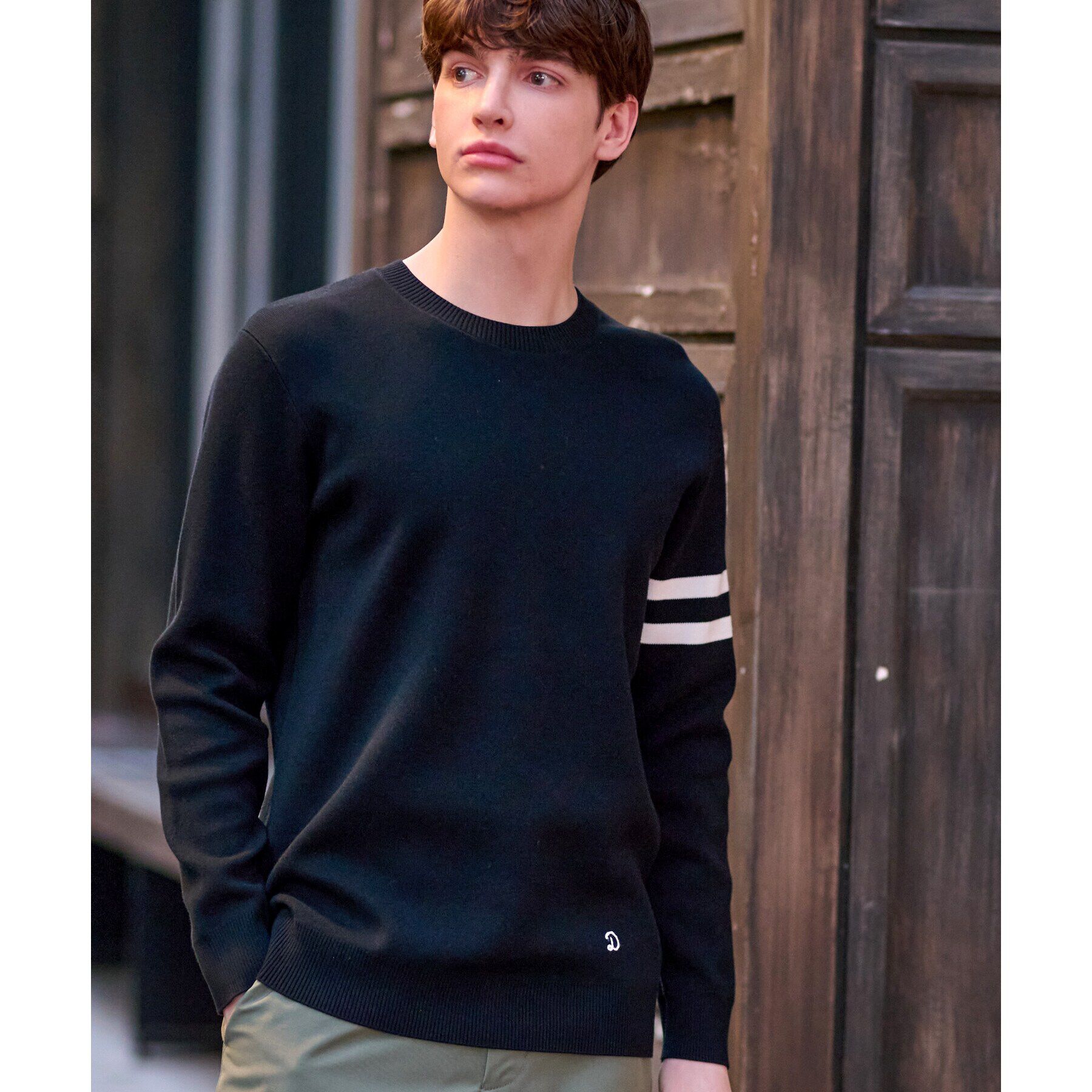 DRESSTERIOR「コットンスムース アームラインクルーネックニット」|ニット・セーター|