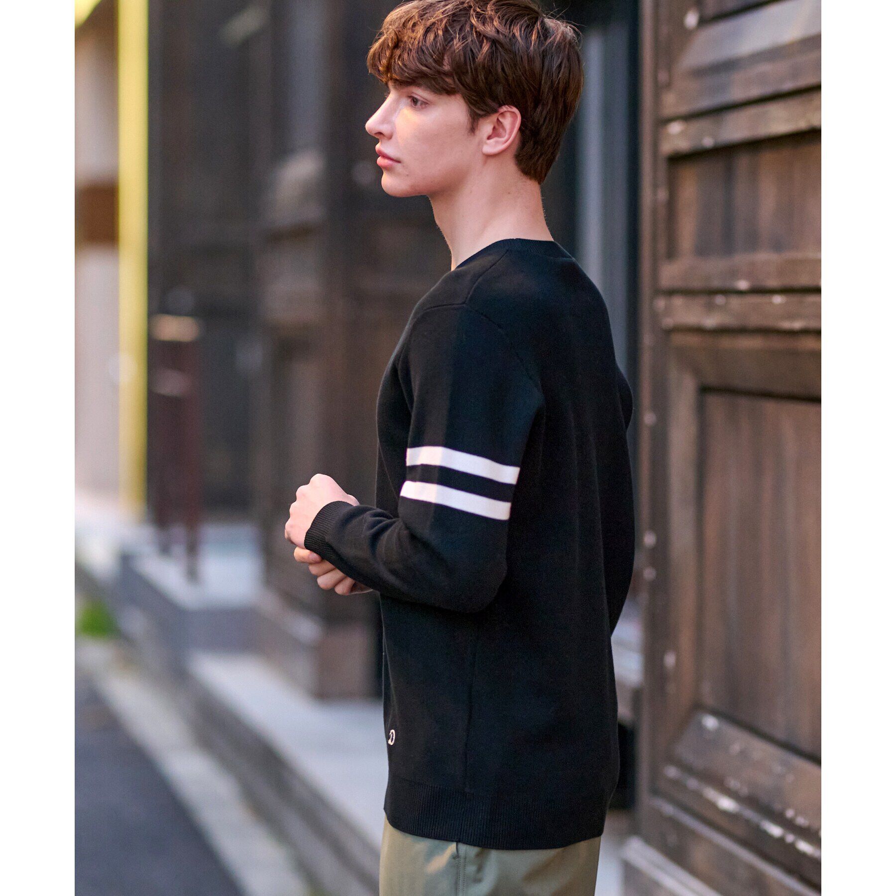 DRESSTERIOR「コットンスムース アームラインクルーネックニット」|ニット・セーター|