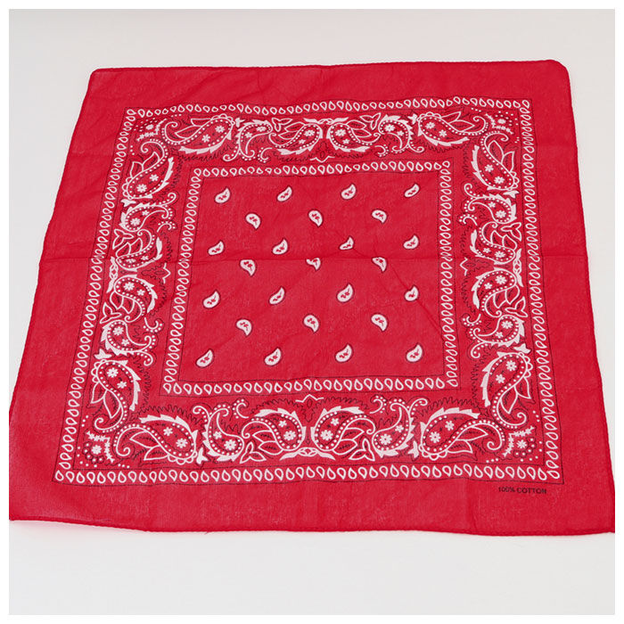 BACKYARD FAMILY「バンダナ 通販 スカーフ 柄 BANDANNA マスク ハンカチ ターバン 帽子 おしゃれ 定番」|マフラー|