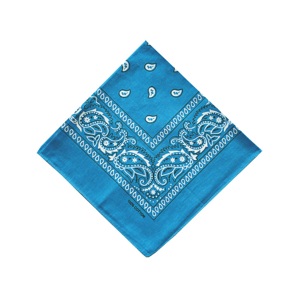 BACKYARD FAMILY「バンダナ 通販 スカーフ 柄 BANDANNA マスク ハンカチ ターバン 帽子 おしゃれ 定番」|マフラー|ブルー2