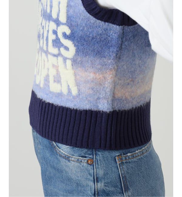 JOINT WORKS「ANNA SUI NYC / アナスイエヌワイシー グラデーションジャガードベスト」|ベスト・ジレ|
