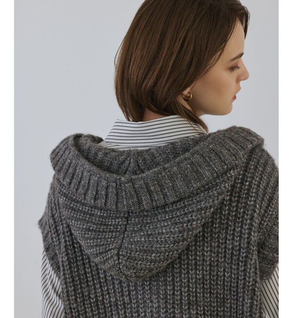 Diagram「ラメニットベスト」|ベスト・ジレ|