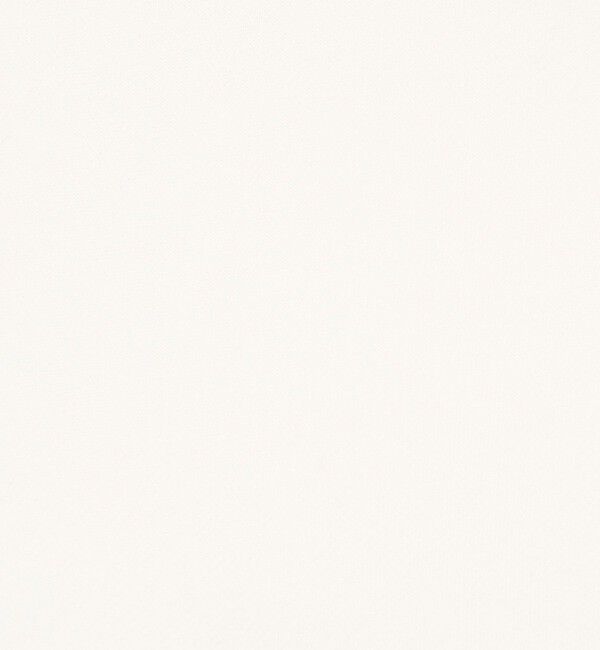 NOLLEY'S「【WEB限定】ウォッシャブルシャツスリーブスウェットプルオーバー」|Tシャツ・カットソー|