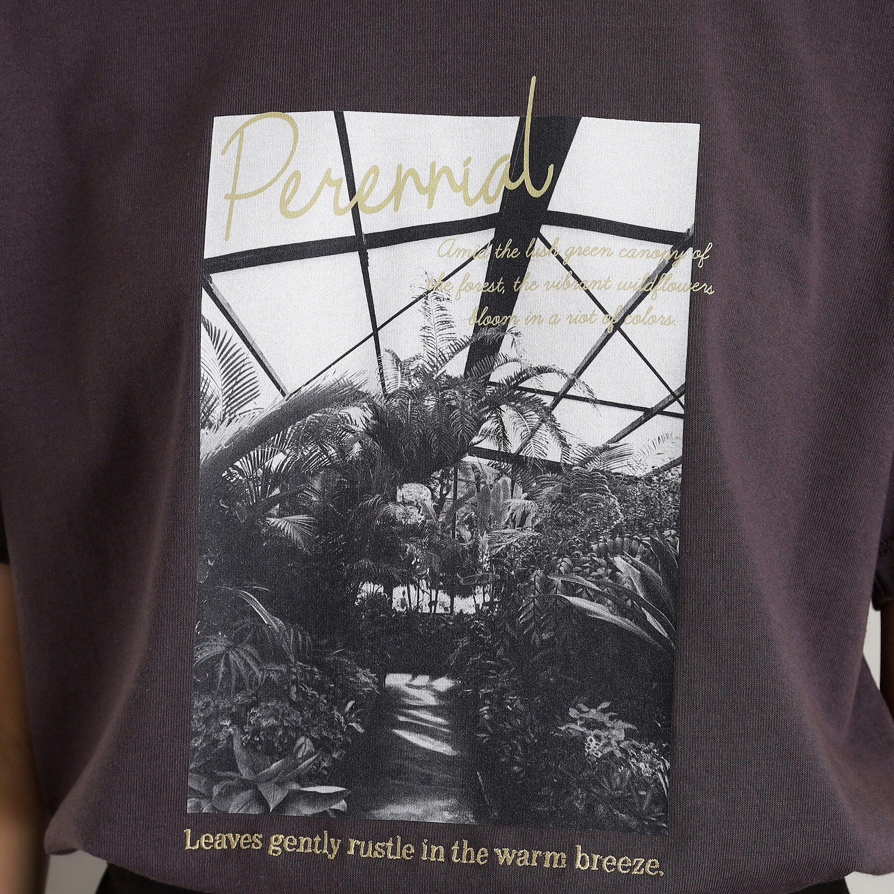 THE SHOP TK「カレッジ＆フォトプリントTシャツ【洗濯機OK】」|Tシャツ・カットソー|