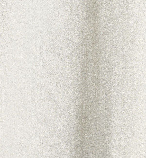 BEAUTY&YOUTH UNITED ARROWS「コットンポリエステル ラメロングスリーブカットソー」|Tシャツ・カットソー|