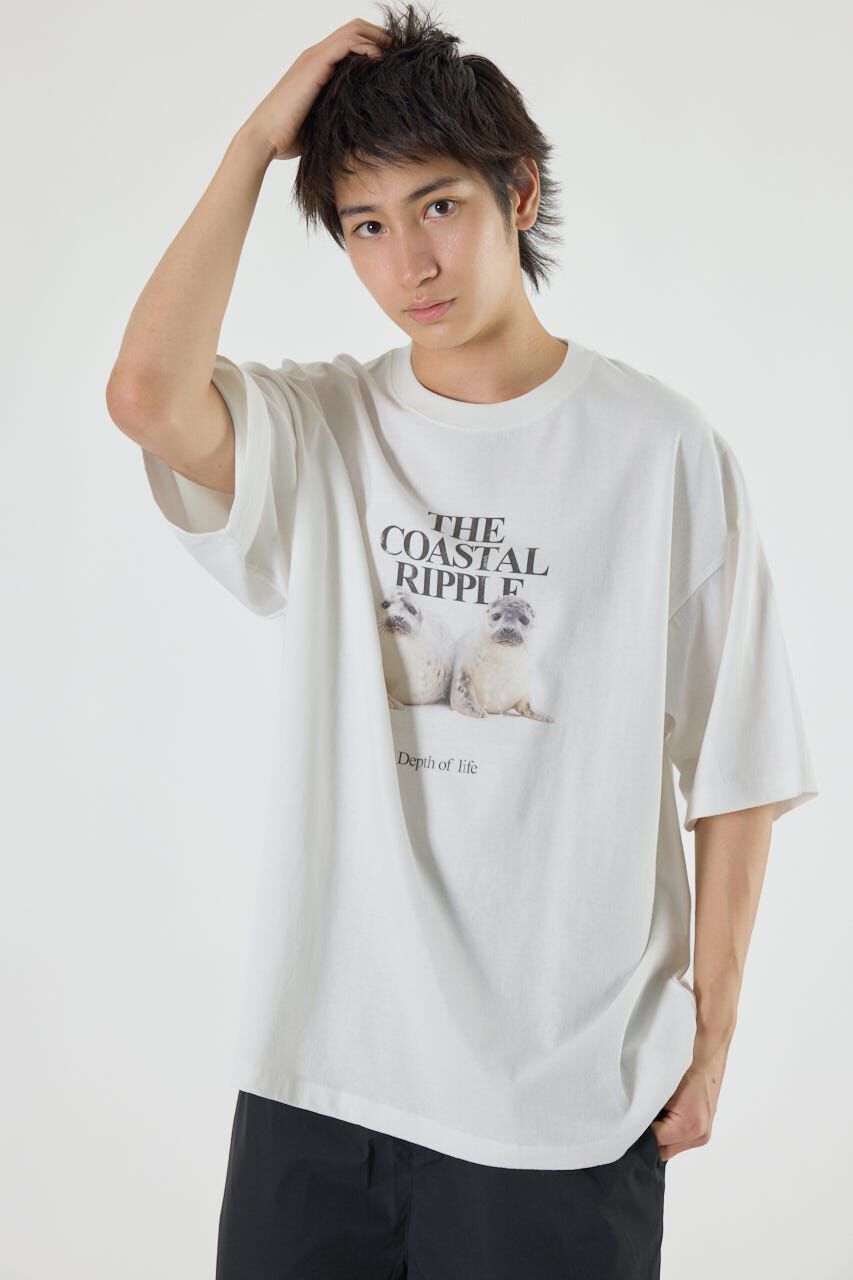 RODEO CROWNS「アニマルフォトTシャツ」|Tシャツ・カットソー|O/WHT1