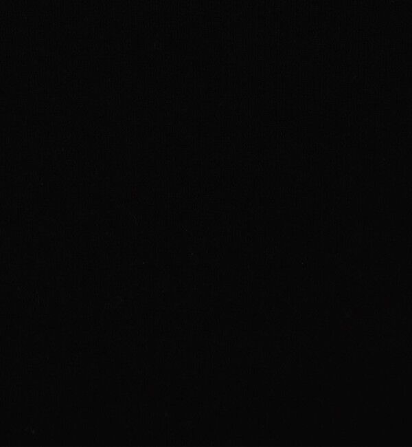 GALERIE VIE「ソフトジャージーリブ ボートネックプルオーバー」|Tシャツ・カットソー|