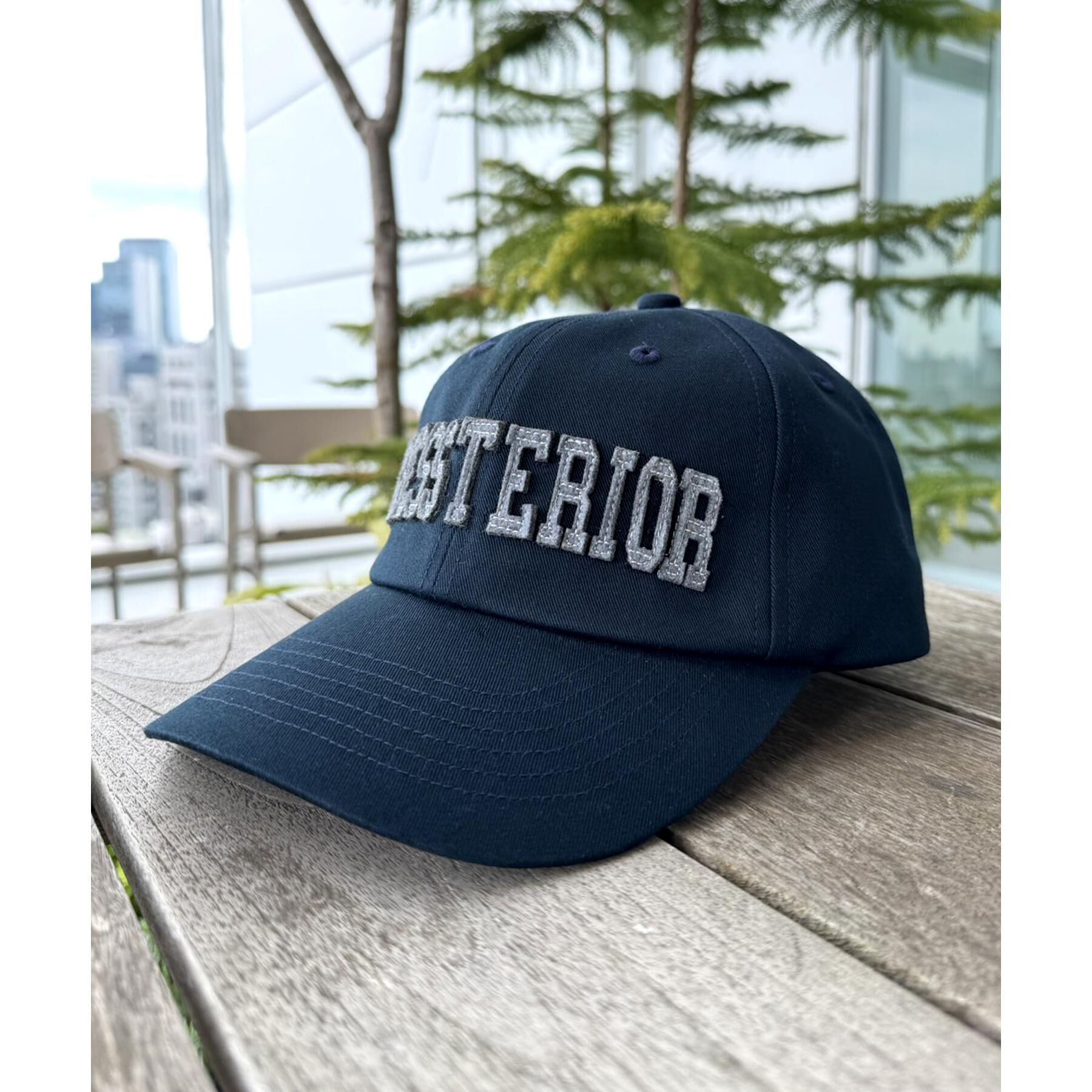 DRESSTERIOR「DRESSTERIORロゴキャップ」|キャップ・キャスケット|