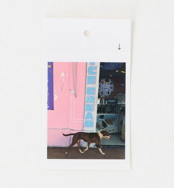 BEAUTY&YOUTH UNITED ARROWS「＜LY＞Garabato キャップ」|キャップ・キャスケット|