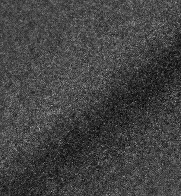 BEAUTY&YOUTH UNITED ARROWS「毛ポリエステル フランネル プレスフレアスカート」|フレア|