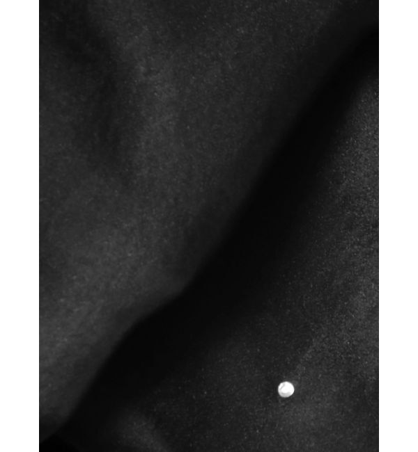 GYDA「シアーラインストーンショートシャツ」|シャツ・ブラウス|