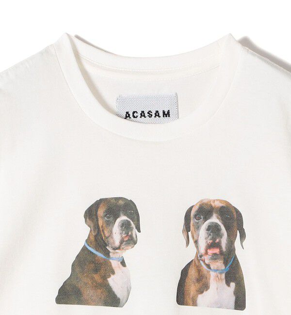 SHIPS for women「【SHIPS別注】ACASAM: フォト TEE」|Tシャツ・カットソー|