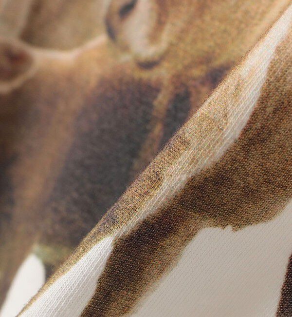 SHIPS for women「【SHIPS別注】ACASAM: フォト TEE」|Tシャツ・カットソー|